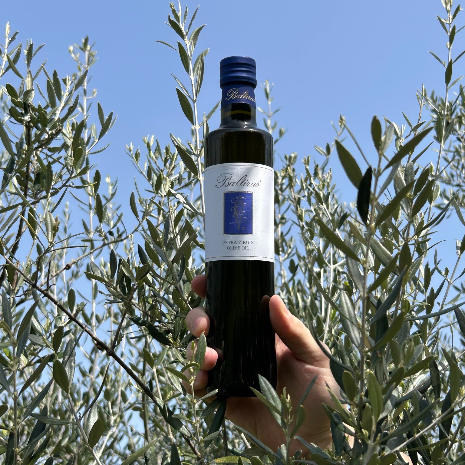 Kas tie polifenoliai?