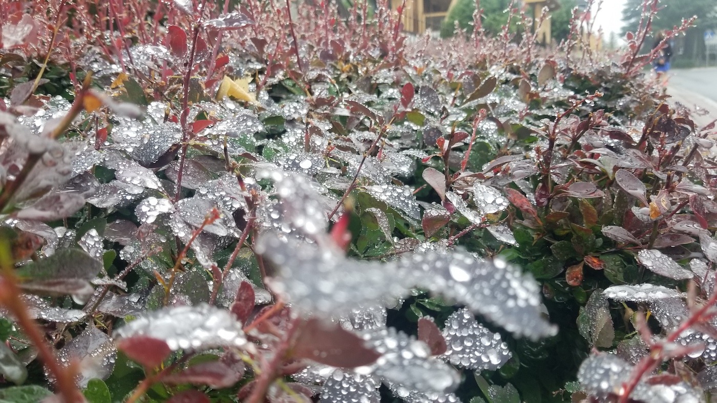 7 švaros taisyklės, kurios keičia gyvenimą