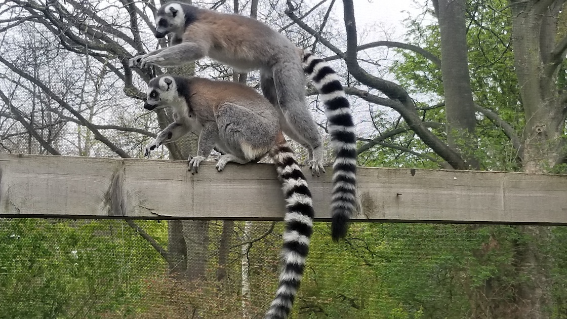 Ar mokame bendrauti empatiškai?
