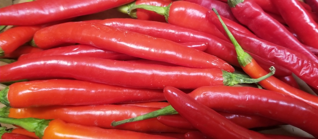 Aitrioji paprika ir jos nauda