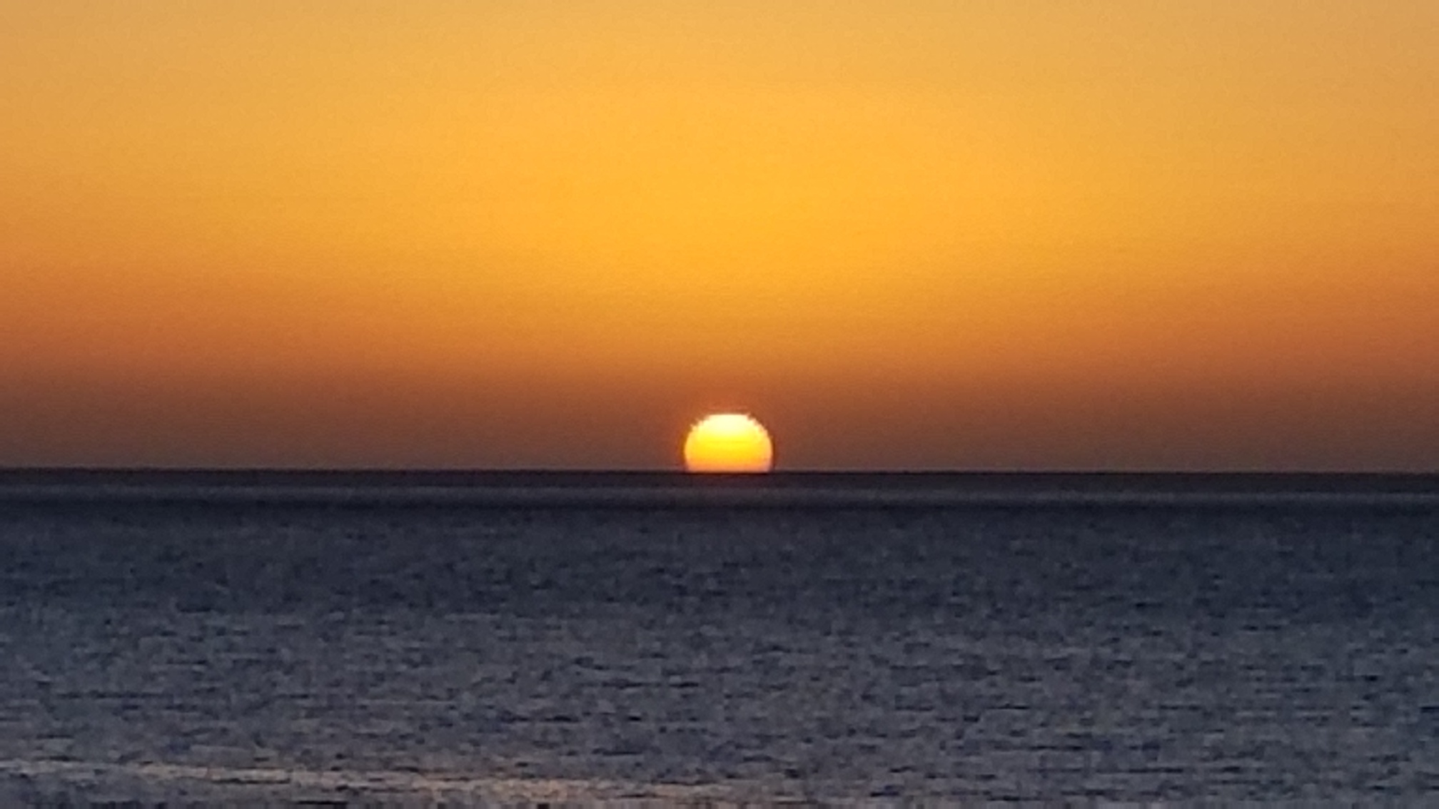 Dvylika gyvūnų pagal Kinų astrologiją