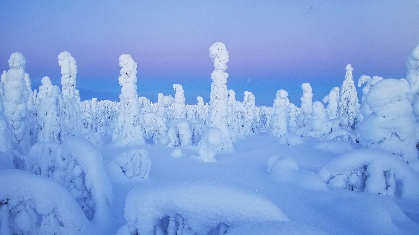 Kiek kainuoja Kalėdos?