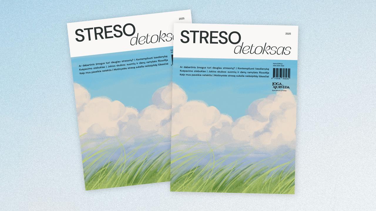 STRESO DETOKSAS - skubėkime lėčiau - gyvenkime taikiau! 🌎 (SPEC. PRIEDAS) 2025